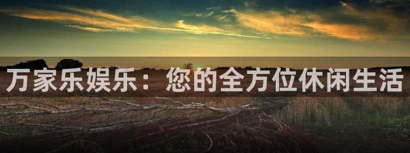 888贵宾会官网：万家乐娱乐：您的全方位休闲生活
