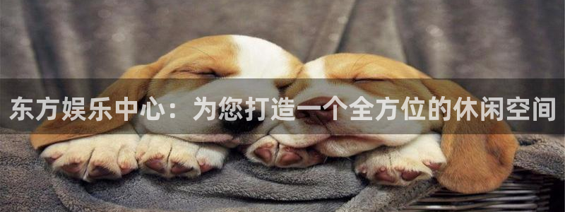 888贵宾会官网：东方娱乐中心：为您打造一个全方位的休闲空间