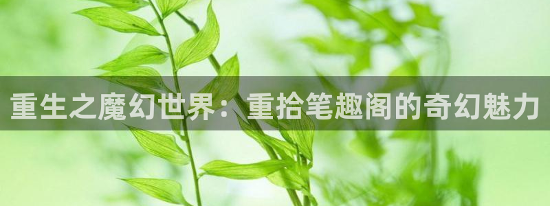888贵宾会官网：重生之魔幻世界：重拾笔趣阁的奇幻魅力