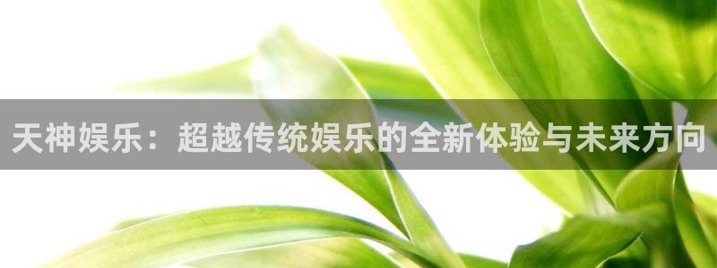 888贵宾会官网：天神娱乐：超越传统娱乐的全新体验与未来方向