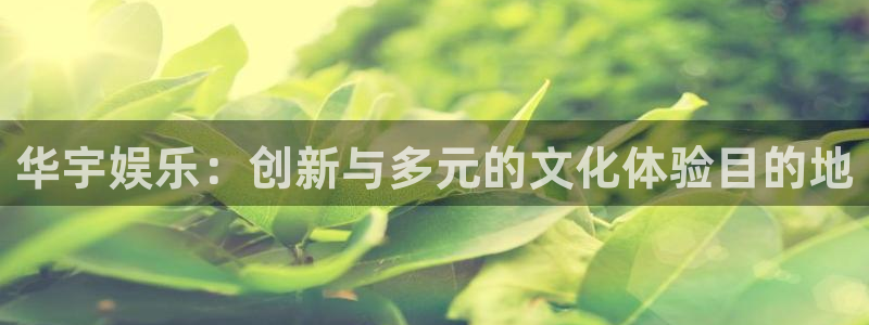 888贵宾会官网：华宇娱乐：创新与多元的文化体验目的地