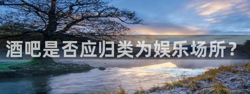 888贵宾会官网：酒吧是否应归类为娱乐场所？